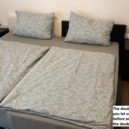 Ferienwohnung Mit 2 Zimmer, Kueche, Bad, In ザールブリュッケン エクステリア 写真